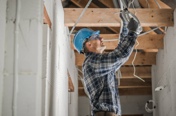 Best Electric Panel Repair  in Peru, IL